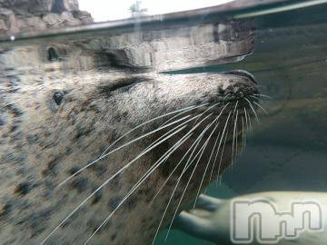 新潟デリヘル五十路マダム新潟店(カサブランカグループ)(イソジマダムニイガタテン) 鈴木かのん(43)の12月11日写メブログ「いってみた。」