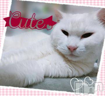 新潟デリヘル五十路マダム新潟店(カサブランカグループ)(イソジマダムニイガタテン) 鈴木かのん(43)の4月19日写メブログ「くしゃみ。」