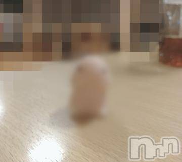 新潟デリヘル五十路マダム新潟店(カサブランカグループ)(イソジマダムニイガタテン) 鈴木かのん(43)の2月12日写メブログ「ムニュムニュなちんちん」