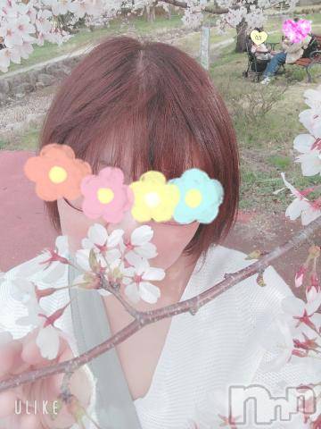 新潟デリヘル五十路マダム新潟店(カサブランカグループ)(イソジマダムニイガタテン) 鈴木かのん(43)の4月11日写メブログ「お花見♪」