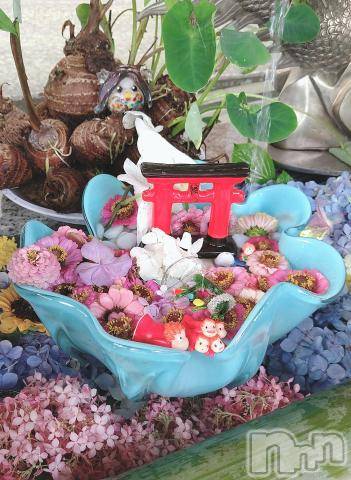 新潟デリヘル五十路マダム新潟店(カサブランカグループ)(イソジマダムニイガタテン) 鈴木かのん(43)の7月14日写メブログ「雨だけど・・・」