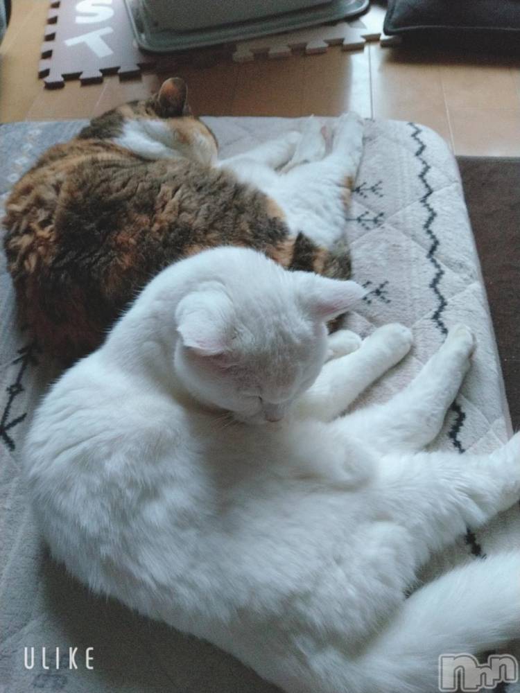 新潟デリヘル五十路マダム新潟店(カサブランカグループ)(イソジマダムニイガタテン) 鈴木かのん(43)の12月6日写メブログ「久しぶりに♪」