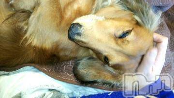 新潟デリヘル五十路マダム新潟店(カサブランカグループ)(イソジマダムニイガタテン)鈴木かのん(43)の2019年5月13日写メブログ「ゲリラ計画について(笑)」