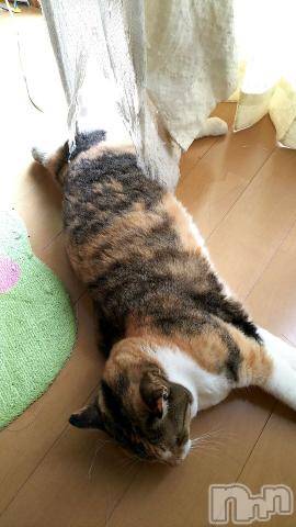 新潟デリヘル五十路マダム新潟店(カサブランカグループ)(イソジマダムニイガタテン)鈴木かのん(43)の2019年6月23日写メブログ「[お題]from:リョウさん」