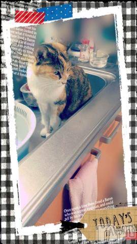 新潟デリヘル五十路マダム新潟店(カサブランカグループ)(イソジマダムニイガタテン)鈴木かのん(43)の2019年10月18日写メブログ「帰ってくると・・・」