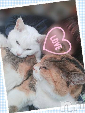 新潟デリヘル五十路マダム新潟店(カサブランカグループ)(イソジマダムニイガタテン)鈴木かのん(43)の2022年2月22日写メブログ「スーパーにゃんこの日」