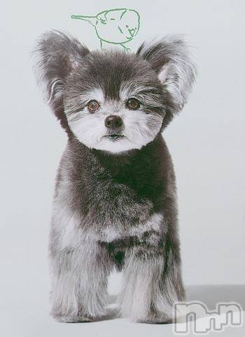 新潟デリヘル五十路マダム新潟店(カサブランカグループ)(イソジマダムニイガタテン)鈴木かのん(43)の2022年10月14日写メブログ「申し訳ありません。」