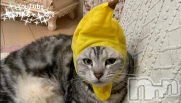 新潟デリヘル五十路マダム新潟店(カサブランカグループ)(イソジマダムニイガタテン)鈴木かのん(43)の2023年5月28日写メブログ「こんばんわ」