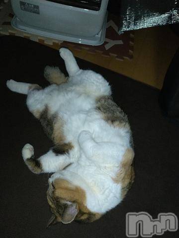 新潟デリヘル五十路マダム新潟店(カサブランカグループ)(イソジマダムニイガタテン)鈴木かのん(43)の2023年12月29日写メブログ「広げすぎ！！笑」