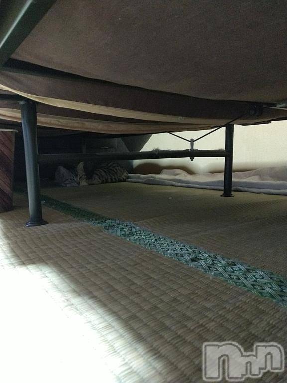 新潟デリヘル五十路マダム新潟店(カサブランカグループ)(イソジマダムニイガタテン)鈴木かのん(43)の2025年3月27日写メブログ「かくれんぼ(=^・^=)」