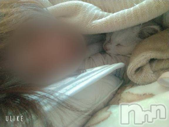 新潟デリヘル五十路マダム新潟店(カサブランカグループ)(イソジマダムニイガタテン)鈴木かのん(43)の2025年10月25日写メブログ「スズキ100%」