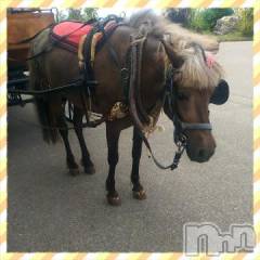 新潟デリヘル五十路マダム新潟店(カサブランカグループ)(イソジマダムニイガタテン) 鈴木かのん(43)の5月15日写メブログ「更新？」