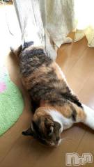 新潟デリヘル五十路マダム新潟店(カサブランカグループ)(イソジマダムニイガタテン) 鈴木かのん(44)の6月23日写メブログ「[お題]from:リョウさん」