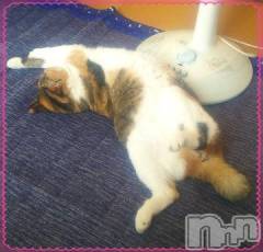 新潟デリヘル五十路マダム新潟店(カサブランカグループ)(イソジマダムニイガタテン) 鈴木かのん(43)の8月18日写メブログ「[お題]from:ひろみんごさん」