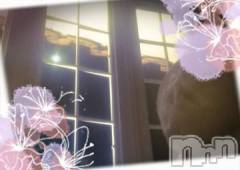 新潟デリヘル五十路マダム新潟店(カサブランカグループ)(イソジマダムニイガタテン) 鈴木かのん(44)の9月14日写メブログ「ペンギン村から♪」