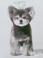 新潟デリヘル五十路マダム新潟店(カサブランカグループ)(イソジマダムニイガタテン) 鈴木かのん(43)の11月5日写メブログ「お詫びとお願い。」