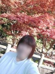 新潟デリヘル五十路マダム新潟店(カサブランカグループ)(イソジマダムニイガタテン) 鈴木かのん(44)の11月1日写メブログ「あした。」