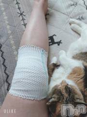 新潟デリヘル五十路マダム新潟店(カサブランカグループ)(イソジマダムニイガタテン) 鈴木かのん(44)の2月8日写メブログ「もう大丈夫！」