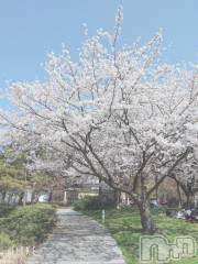 新潟デリヘル五十路マダム新潟店(カサブランカグループ)(イソジマダムニイガタテン) 鈴木かのん(44)の4月12日写メブログ「花と犬と。」