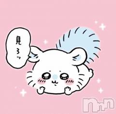 新潟デリヘル五十路マダム新潟店(カサブランカグループ)(イソジマダムニイガタテン) 鈴木かのん(43)の8月26日写メブログ「ご案内いたします。」