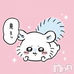 新潟デリヘル五十路マダム新潟店(カサブランカグループ)(イソジマダムニイガタテン) 鈴木かのん(43)の10月30日写メブログ「ないと思うけど…」