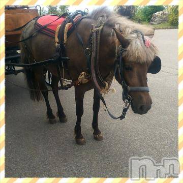 新潟デリヘル 五十路マダム新潟店(カサブランカグループ)(イソジマダムニイガタテン) 鈴木かのん(44)の5月15日写メブログ「更新？」