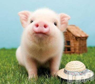 新潟デリヘル 五十路マダム新潟店(カサブランカグループ)(イソジマダムニイガタテン) 鈴木かのん(43)の8月26日写メブログ「あーぁ(´・ω・`)」