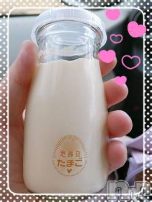 新潟デリヘル 五十路マダム新潟店(カサブランカグループ)(イソジマダムニイガタテン) 鈴木かのん(43)の3月16日写メブログ「食べ過ぎました・・・」