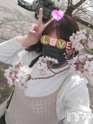 新潟デリヘル 五十路マダム新潟店(カサブランカグループ)(イソジマダムニイガタテン) 鈴木かのん(43)の4月12日写メブログ「お花見( ´∀｀)ノ♪」