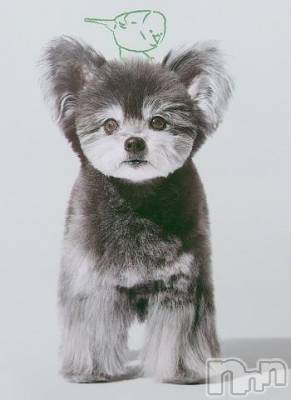 新潟デリヘル 五十路マダム新潟店(カサブランカグループ)(イソジマダムニイガタテン) 鈴木かのん(43)の10月14日写メブログ「申し訳ありません。」