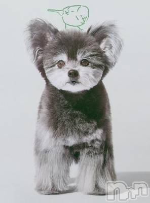 新潟デリヘル 五十路マダム新潟店(カサブランカグループ)(イソジマダムニイガタテン) 鈴木かのん(43)の11月5日写メブログ「お詫びとお願い。」