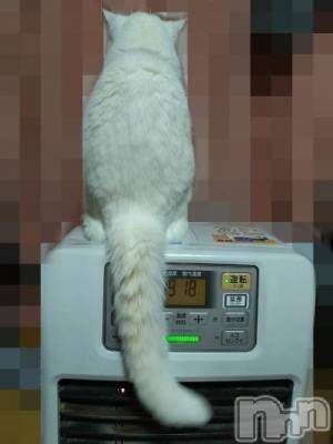 新潟デリヘル 五十路マダム新潟店(カサブランカグループ)(イソジマダムニイガタテン) 鈴木かのん(43)の2月17日写メブログ「温めますか。」