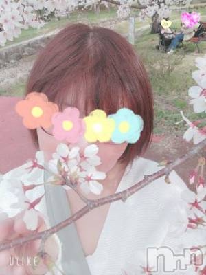 新潟デリヘル 五十路マダム新潟店(カサブランカグループ)(イソジマダムニイガタテン) 鈴木かのん(43)の4月11日写メブログ「お花見♪」