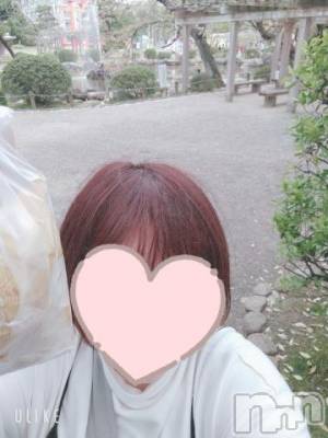 新潟デリヘル 五十路マダム新潟店(カサブランカグループ)(イソジマダムニイガタテン) 鈴木かのん(43)の4月23日写メブログ「今日(´・ω・`)」