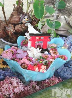 新潟デリヘル 五十路マダム新潟店(カサブランカグループ)(イソジマダムニイガタテン) 鈴木かのん(43)の7月14日写メブログ「雨だけど・・・」