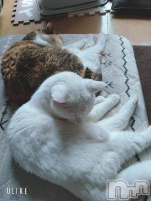 新潟デリヘル 五十路マダム新潟店(カサブランカグループ)(イソジマダムニイガタテン) 鈴木かのん(43)の12月6日写メブログ「久しぶりに♪」