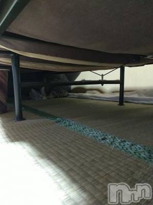 新潟デリヘル 五十路マダム新潟店(カサブランカグループ)(イソジマダムニイガタテン) 鈴木かのん(43)の3月27日写メブログ「かくれんぼ(=^・^=)」