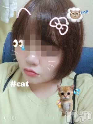 新潟デリヘル 五十路マダム新潟店(カサブランカグループ)(イソジマダムニイガタテン) 鈴木かのん(43)の10月3日写メブログ「来たよ♪」