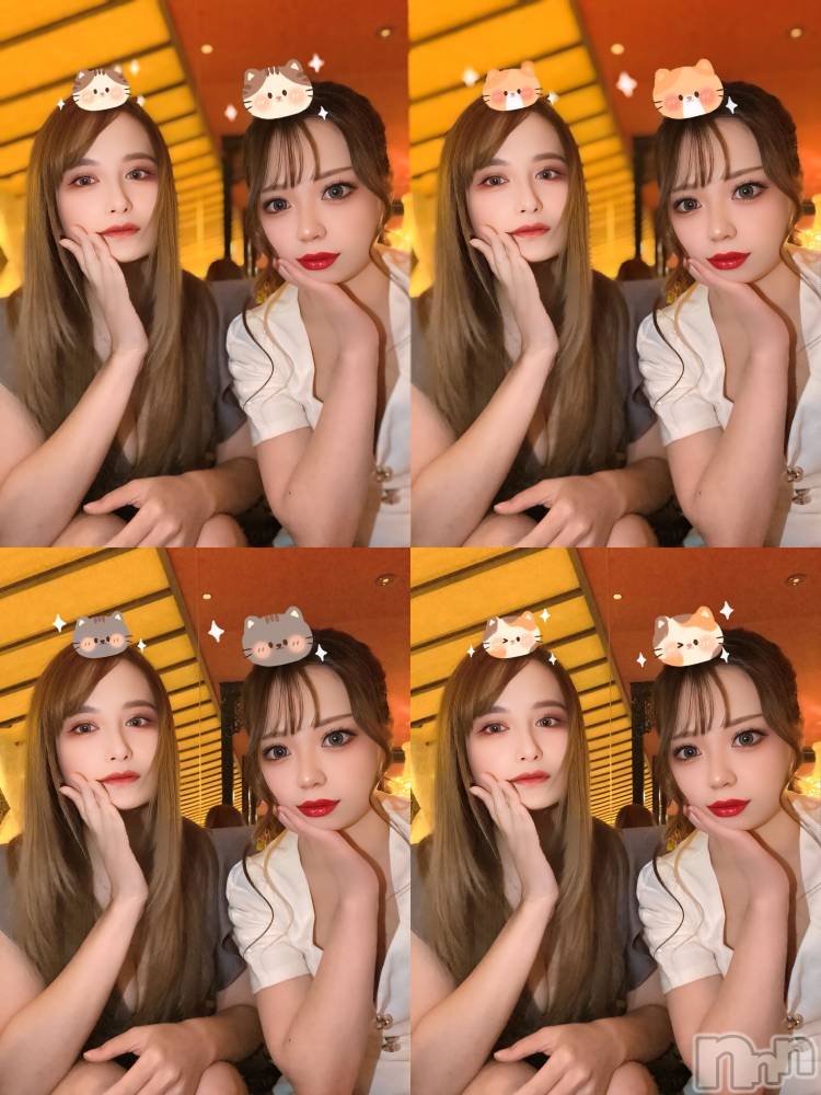 ƲХ顦151-A() ߤ311ֽ̥֥жФǤ🥹