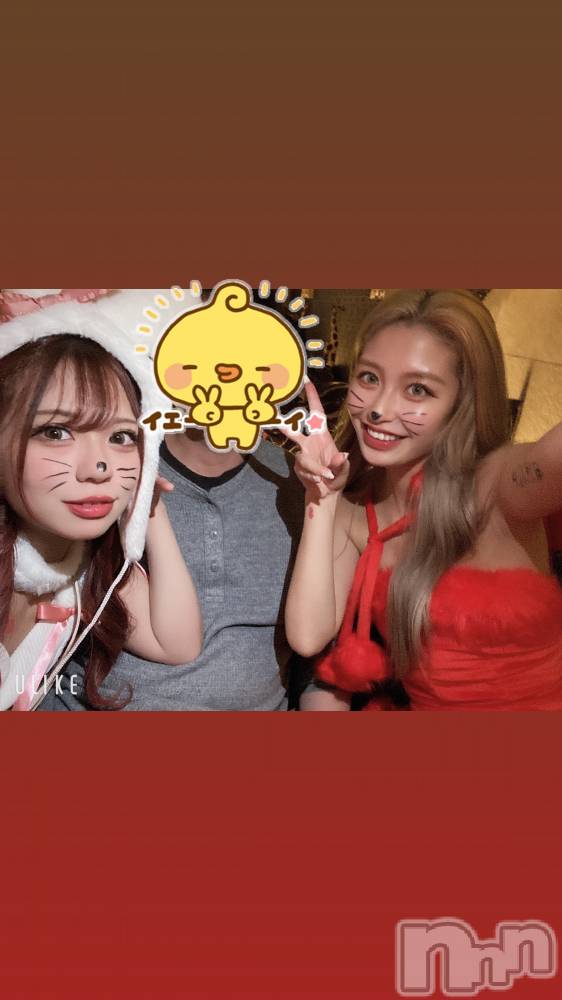 ƲХ顦151-A() ߤ522ֽ̥֥жФǤ🐇