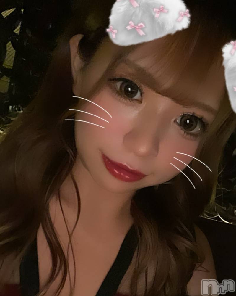 ƲХ顦151-A() ߤ920̥֥920 1124ʬμ̥֥
