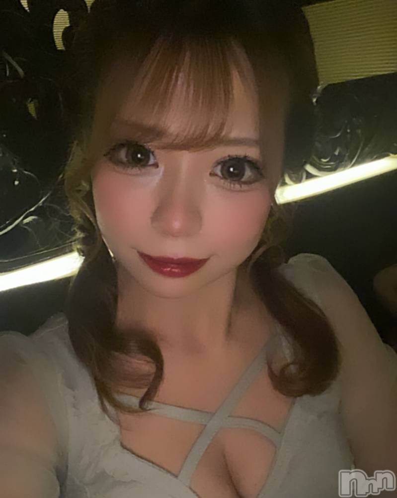 ƲХ顦151-A() ߤ105̥֥105 2014ʬμ̥֥