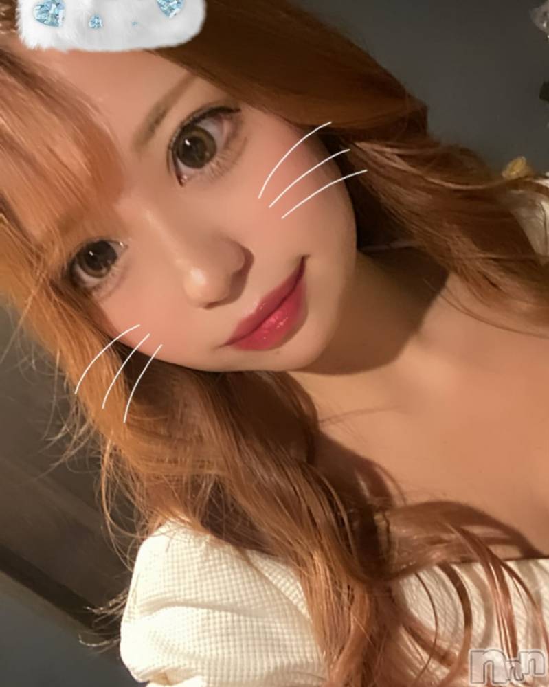 ƲХ顦151-A() ߤ116̥֥116 2034ʬμ̥֥