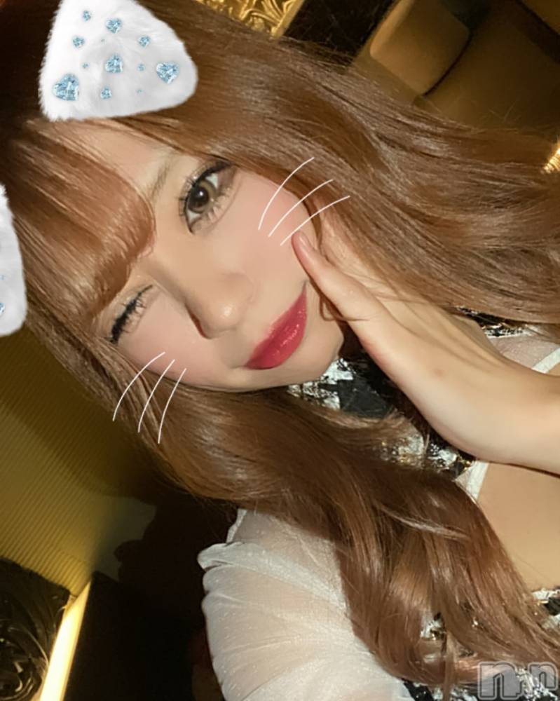 ƲХ顦151-A() ߤ1118̥֥1118 2054ʬμ̥֥