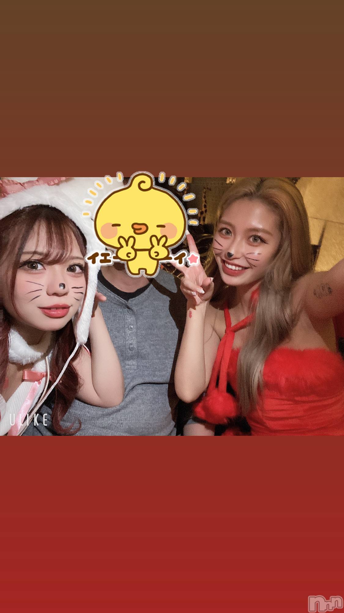 ƲХ顦151-A() 2025ǯ522ֽ̥֥жФǤ🐇