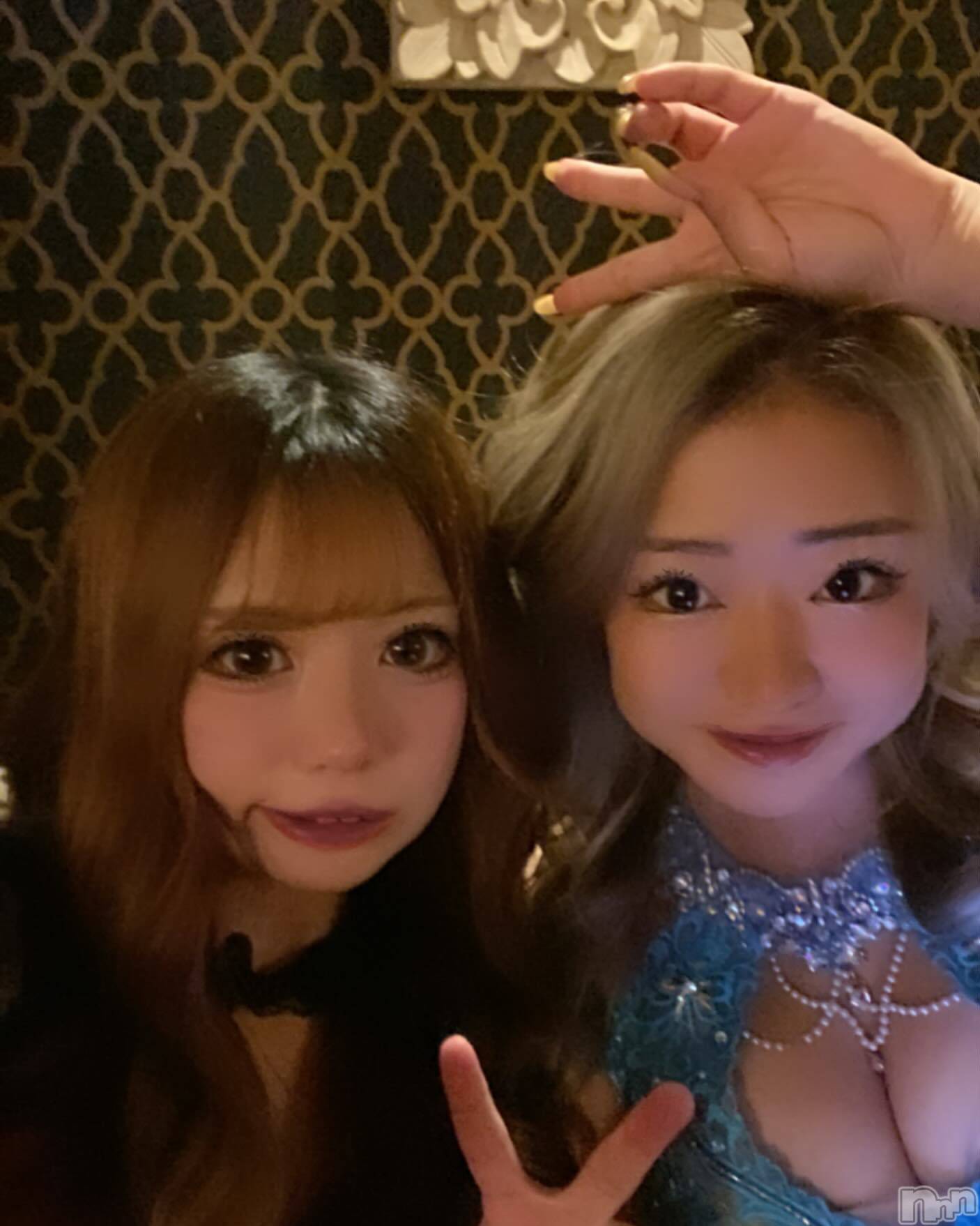 ƲХ顦151-A() 2024ǯ108̥֥108 1955ʬμ̥֥