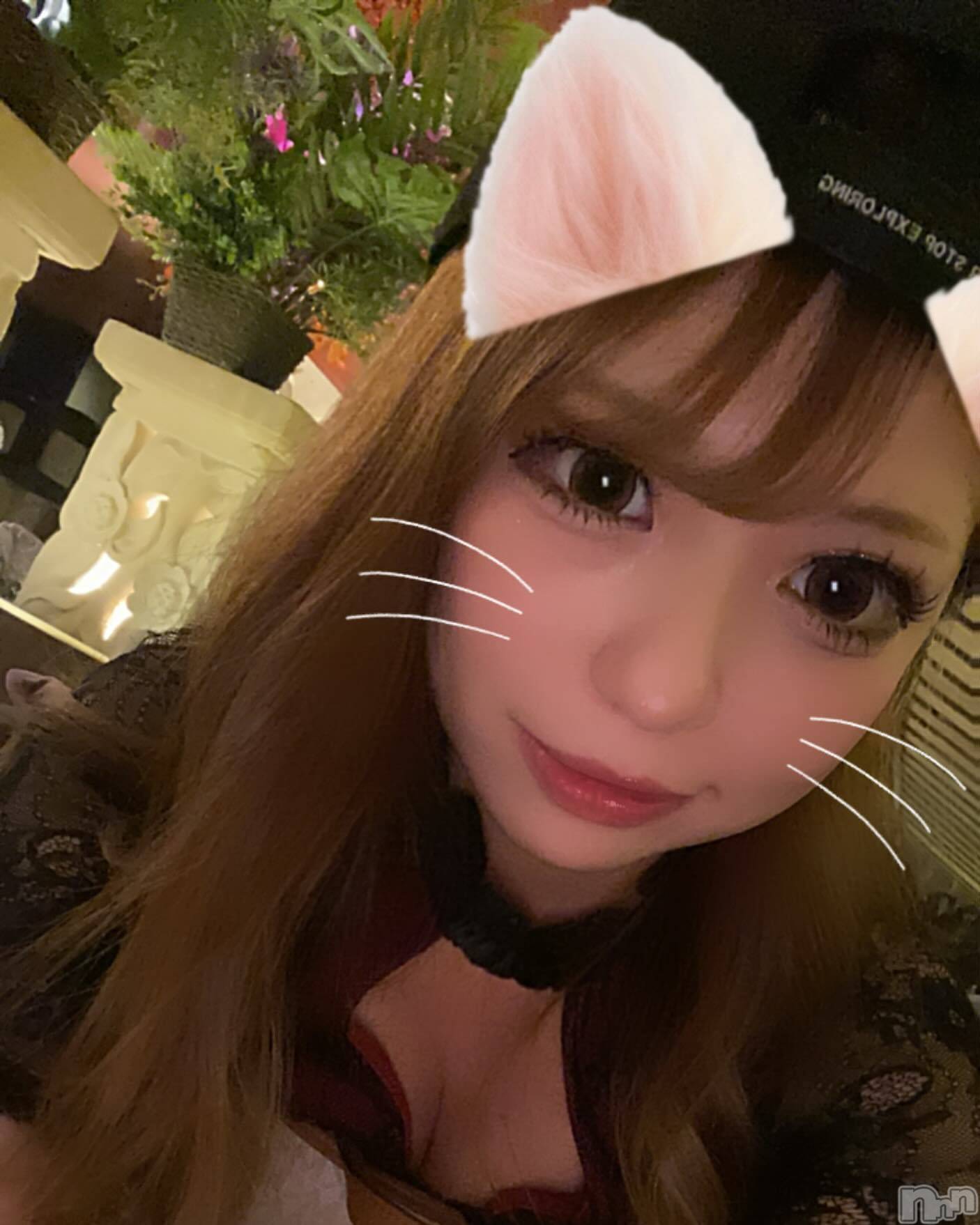ƲХ顦151-A() 2024ǯ1022̥֥1022 1724ʬμ̥֥