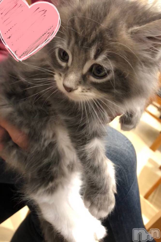 ��ˬ����Х��顦�����CLUB K����Prologue��(����֥���) ��ë �椤��4��17���̥�֥�����(♥)��