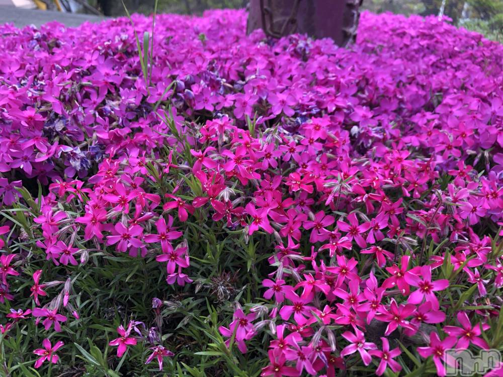 ��ˬ����Х��顦�����CLUB K����Prologue��(����֥���) ��ë �椤��5��17���̥�֥�����(♥)��