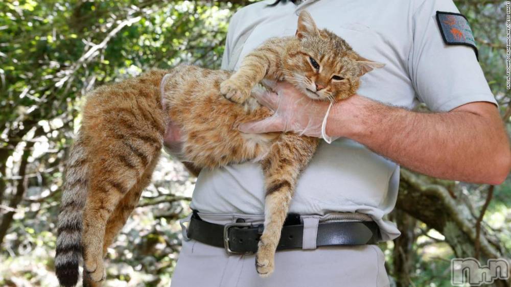 ��ˬ����Х��顦�����CLUB K����Prologue��(����֥���) ��ë �椤��6��30���̥�֥�����(♥)��